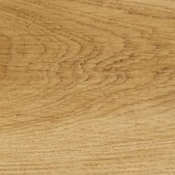 Chêne classique – 24438