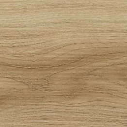 Chêne classique – 24837