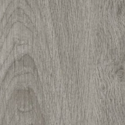 Chêne Midland – 22929