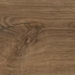 Chêne de Galway – 87832