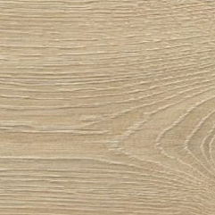 Chêne de Galtymore – 86237