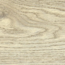 Chêne de la Sierra – 58226