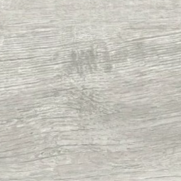 Chêne de campagne – 54932