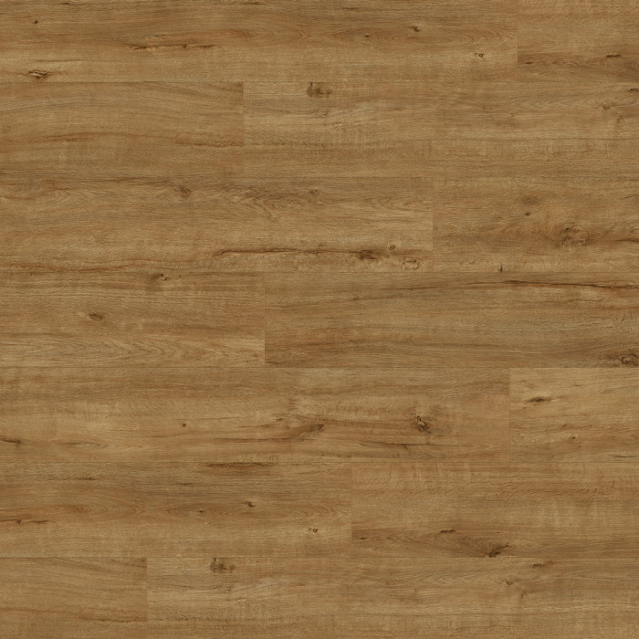 K633 Chêne Apollo doré, monolame (MW)