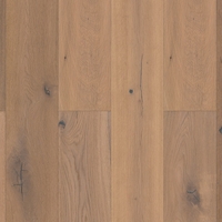 BJ1002 – BJ1002 Chêne n°2 – Cornouailles