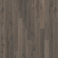 BJ1004 – BJ1004 Chêne n°3 – Kent