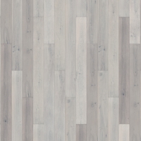 BJ1005 – BJ1005 Érable n°1 – L’Éclat