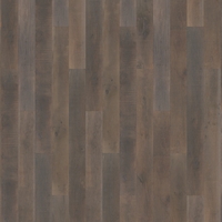 BJ1009 – BJ1009 Chêne n°7 – Somerset