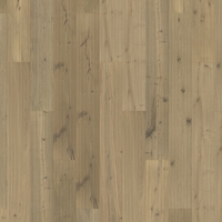 BJ2010 – BJ2010 Chêne n° 23 – Hampton