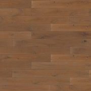 BJ0908 – BJ0908 Chêne n° 9 – Stuart