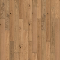 BJ0910 – BJ0910 Chêne n°11 – Salisbury